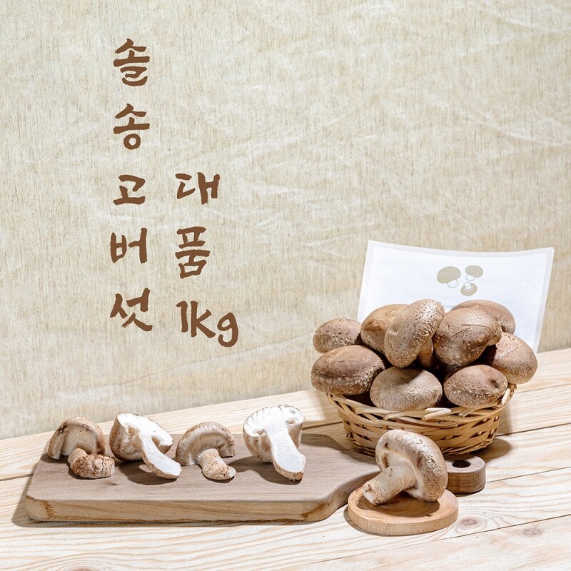 강릉팜,[강릉표고버섯농장]솔송고 무농약 쫄깃한 송이향 표고버섯 친환경 1Kg