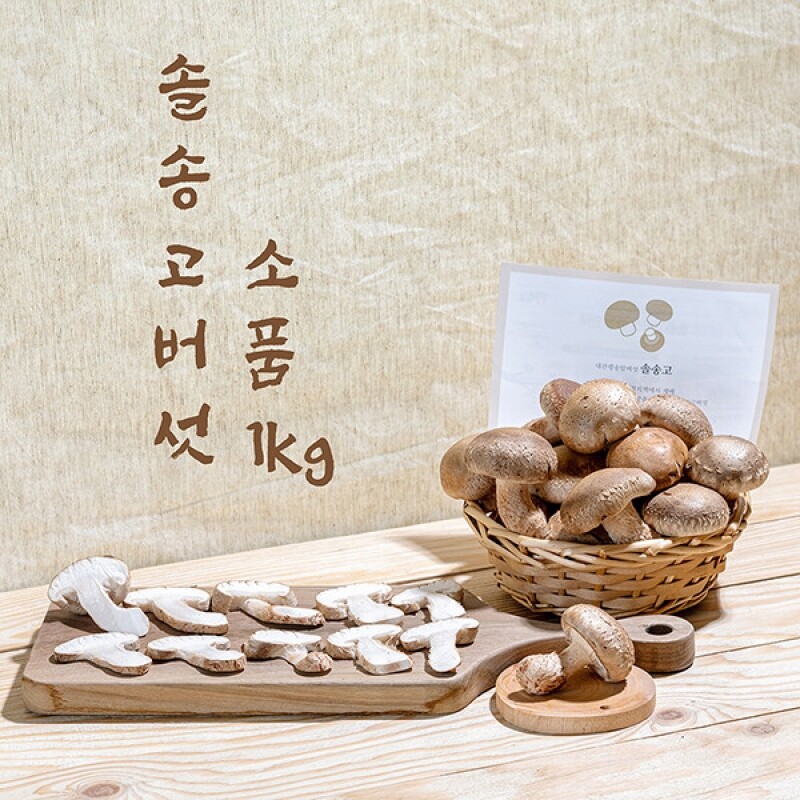 강릉팜,[강릉표고버섯농장]솔송고 무농약 쫄깃한 송이향 표고버섯 친환경 1Kg