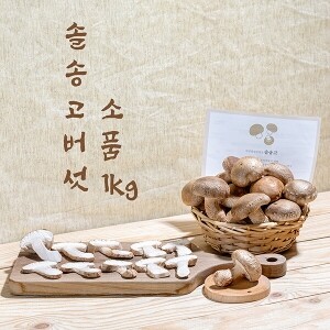 [강릉표고버섯농장]솔송고 무농약 쫄깃한 송이향 표고버섯 친환경 1Kg