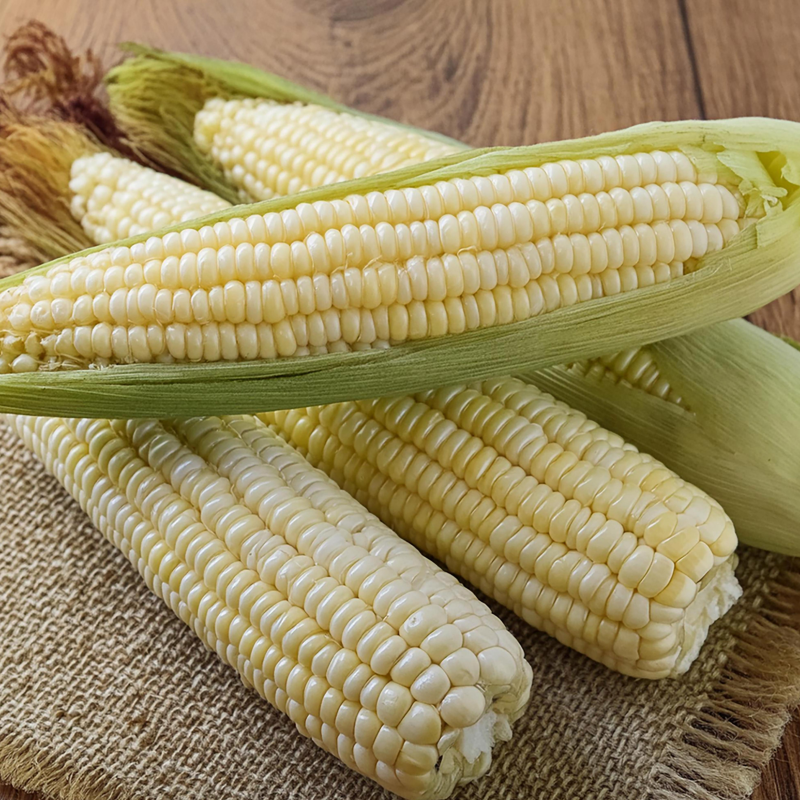 강릉팜,[7월 예약]장작골 청정 강릉 찰옥수수 진짜 맛있는 옥수수 30개 미백 2호 산지직송