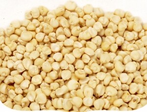 [부연] 강원도 강릉 25년산 찰옥수수쌀 국산 1kg 5kg 거피 깐옥수수알 옥수수범벅 껍질깐 옥수수알갱이