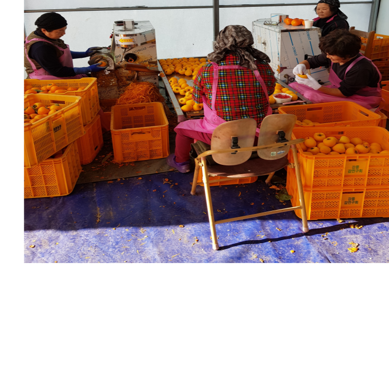 강릉팜,[강릉곶감 우리들농원] 신사임당1호-낱개포장세트