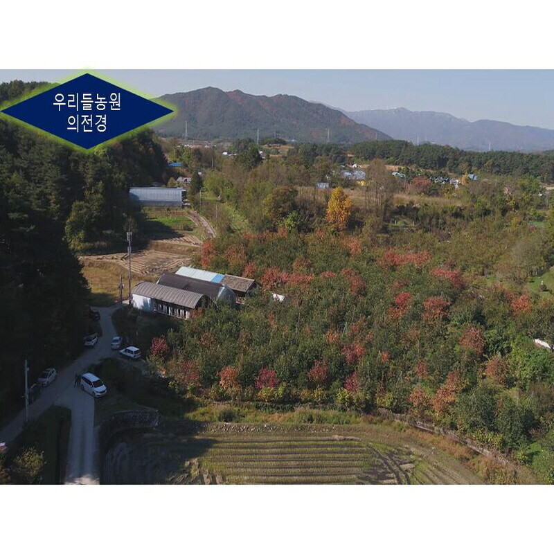 강릉팜,[강릉곶감 우리들농원] 신사임당1호-낱개포장세트