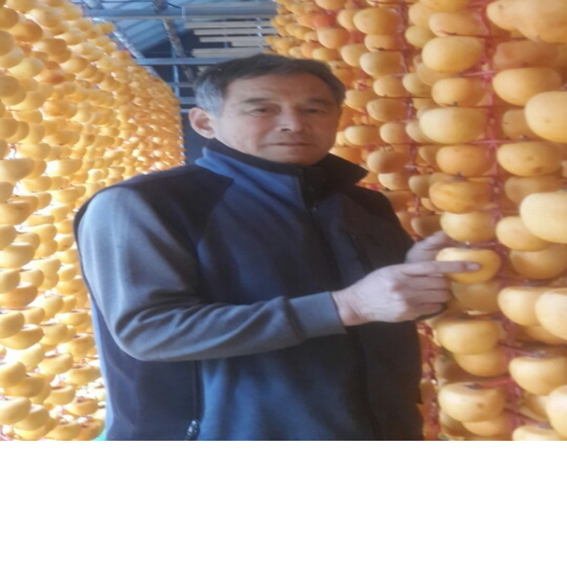 강릉팜,[강릉곶감우리들농원]건시 실속형1호(1.8/36~42개)