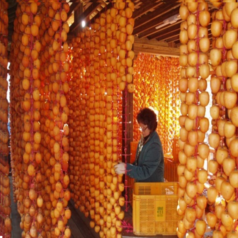 강릉팜,[강릉곶감 우리들농원] 신사임당2호-낱개포장세트