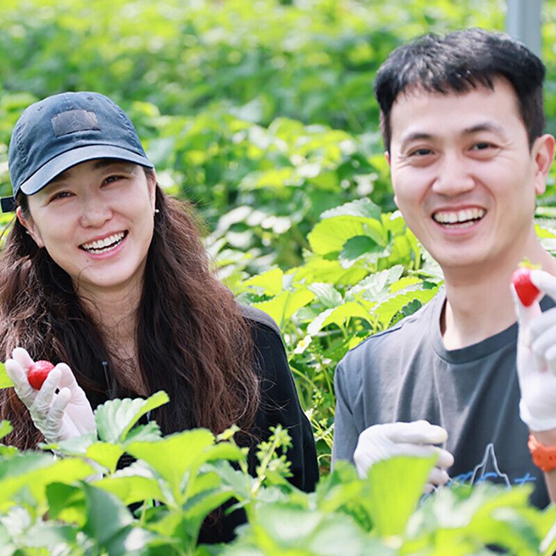 강릉팜,강릉딸기 100% (딸기함량 80%이상) 건강한 수제 딸기잼 300g 2개 튜브잼 100g 3개 선물세트 농장직송